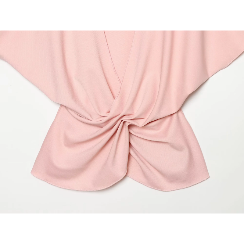 2026 Women Elegant Pink Two Pi - đánh giá và giá Women'S Formal Wear Suit